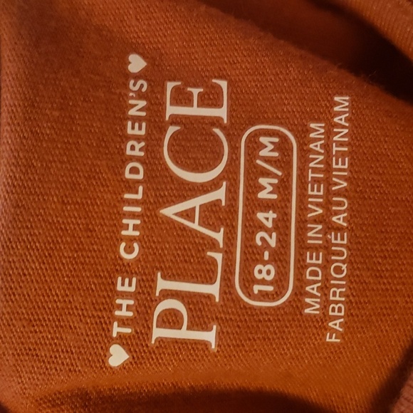 The Children's Place 18-24M Baby Toddler Girls Thankful Fox Outfit Set - Picture 4 of 5